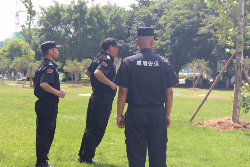 输入图片说明
