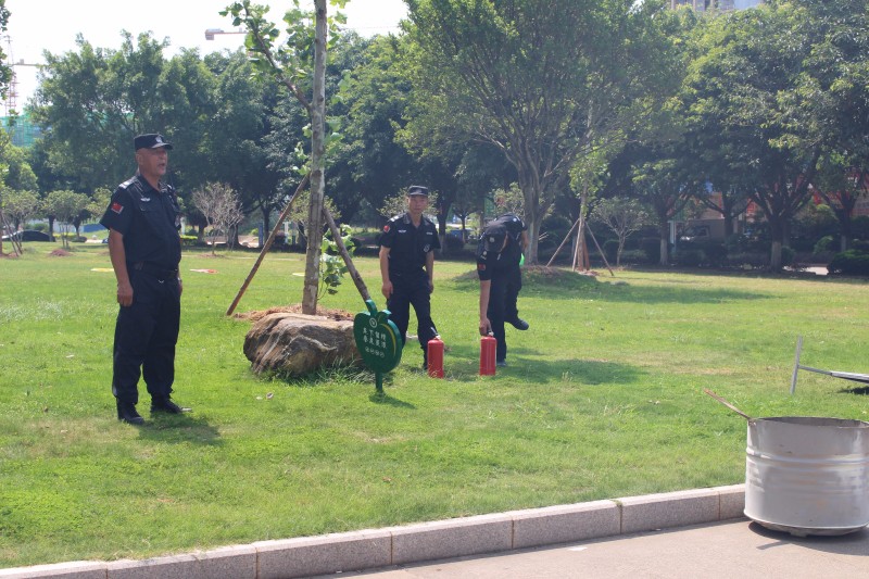 输入图片说明